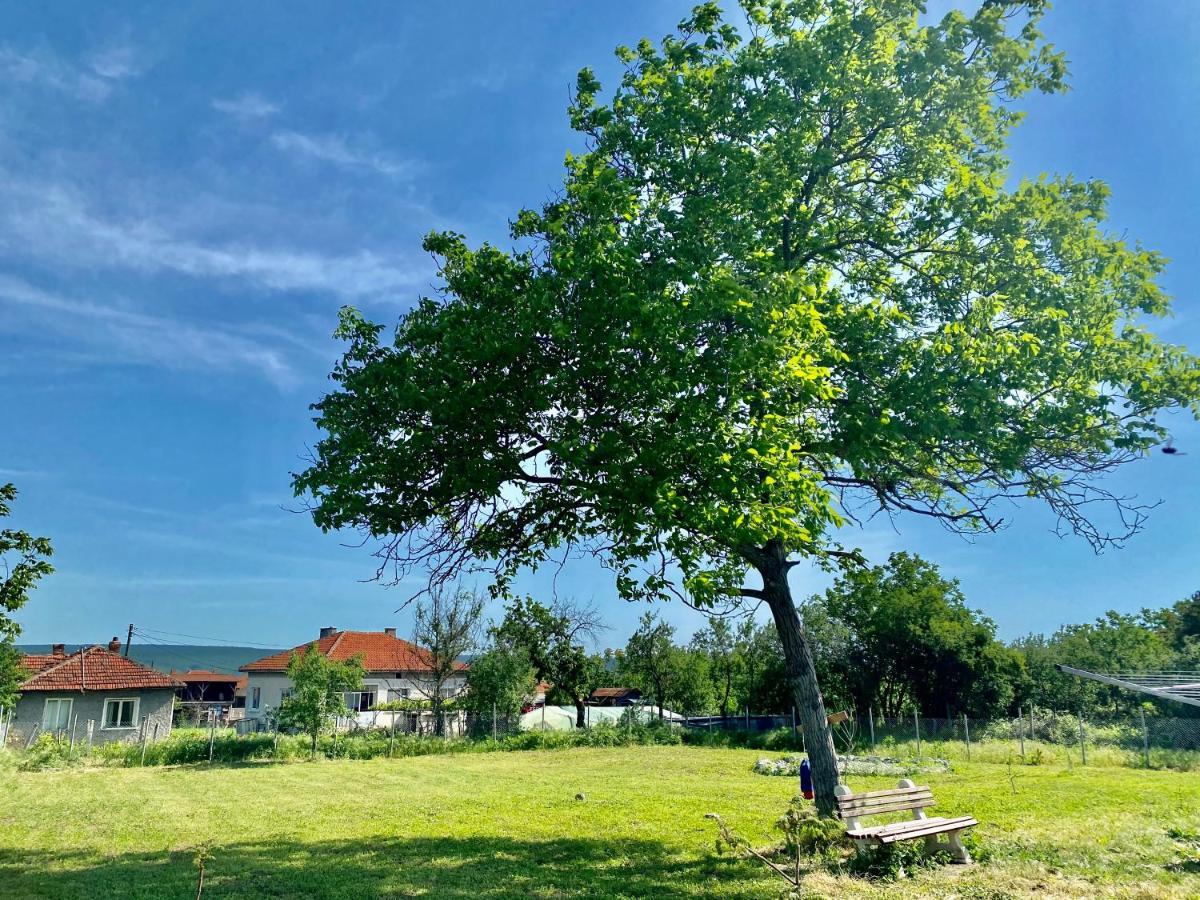 Caravans 10 Min To Tsonevo Lake & 35 Min To Black Sea Εξωτερικό φωτογραφία