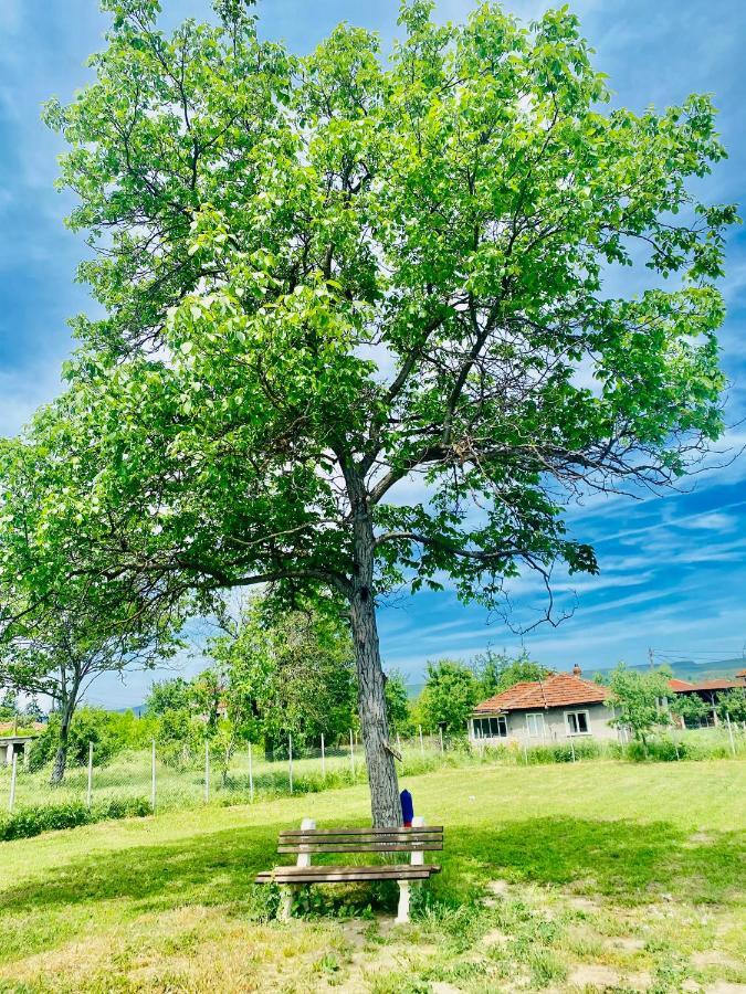Caravans 10 Min To Tsonevo Lake & 35 Min To Black Sea Εξωτερικό φωτογραφία