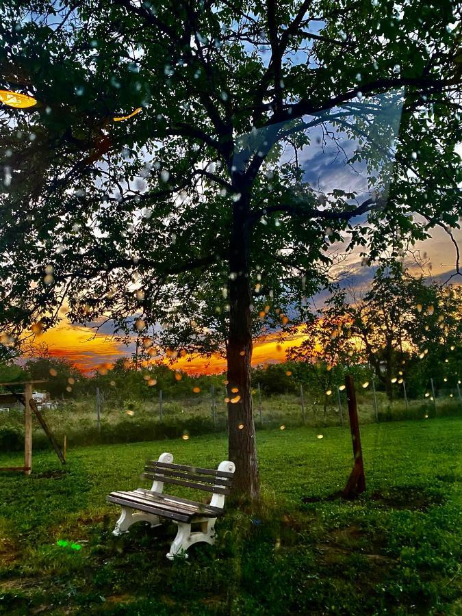 Caravans 10 Min To Tsonevo Lake & 35 Min To Black Sea Εξωτερικό φωτογραφία